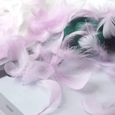 Colored Small Goose Feathers as Gift Box Filling Material - 9