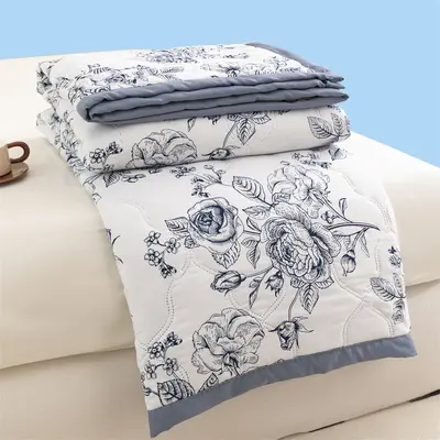 Air conditioning comforter summer cooling quilt machine washable summer single and double 2025 new summer student dormitory thin quilt cross-border - 3