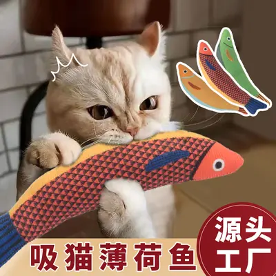 Nane Kokulu Balık Kedi Oyuncağı, Diş Kaşıma ve Diş Temizleme, Sesli Peluş Kedi Oyuncağı - 2