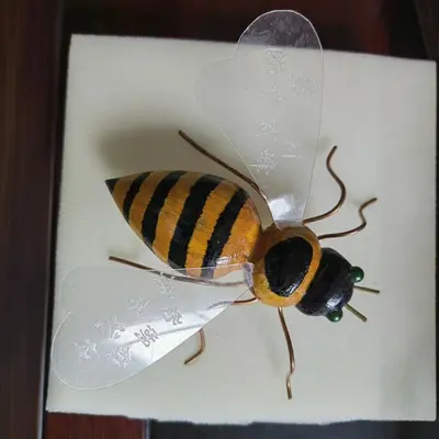 仿真昆虫子摆件蜜蜂益智玩具儿童玩具旅游工艺品