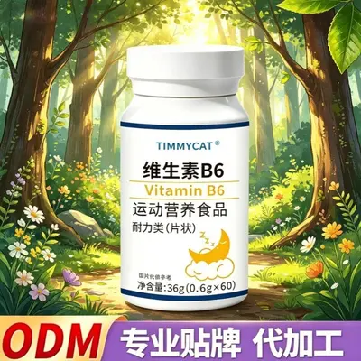 Vitamin B6 Tablets Sports Nutrition Supplement