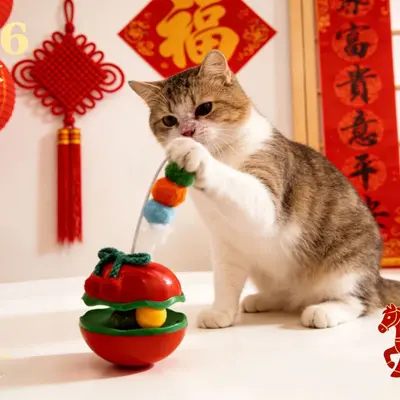 Roly-Poly Fruit Cat Toy with Feather Bell Teaser and Catnip Ball - 8