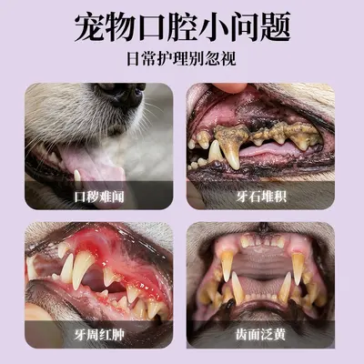 Pet tooth cleaning pen with gel whitener