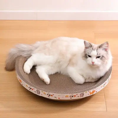 Büyük Kase Model Oluklu Karton Kedi Tırmalama Tahtası Yatak Dahil - 5