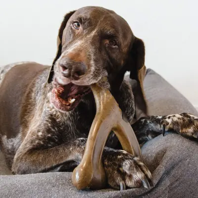 Durable Dog Chew Stick for Teeth Cleaning, for Aggressive Chewers