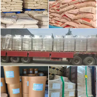 现货批发 一水肌酸 肌酸粉末 食品级营养强化剂 健身增肌运动用