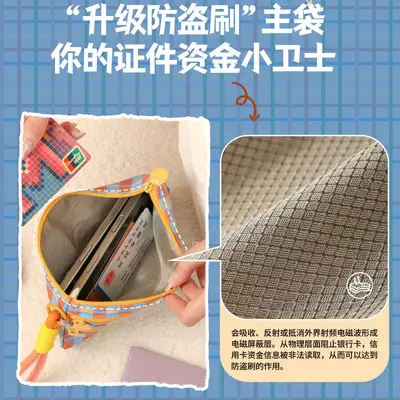 Travel organizer bag with RFID protection, passport and card holder