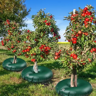 PVC Drip Irrigation Bag for Trees, Round, Drought-Resistant