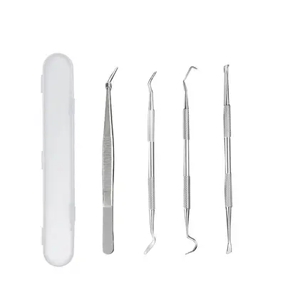 Diş taşı temizleme seti, paslanmaz çelik, 5 parça