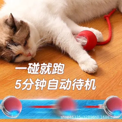 Cat Toy Ball with Rope, Self-Play Rolling Ball - 3