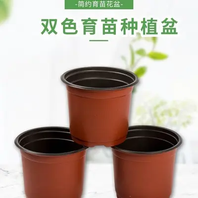 Two-Color Disposable Plastic Seedling Pot, Large, for Succulent Cuttings