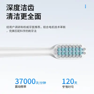 2025新品电动牙刷厂家批发跨境中英文成人声波高档家用情侣牙刷