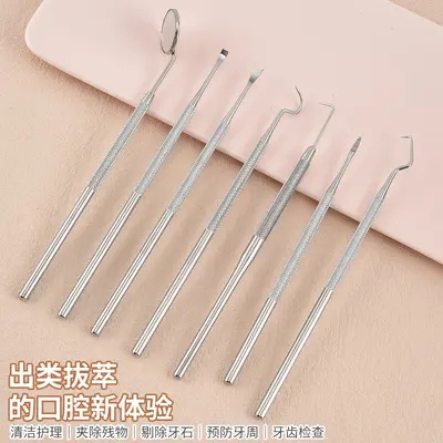 Stainless Steel Dental Cleaning Tool Set