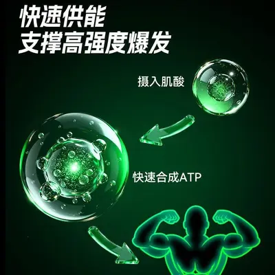 训练怪兽肌酸一水锌镁肌酸粉耐力爆发力运动健身增肌补剂旗舰店