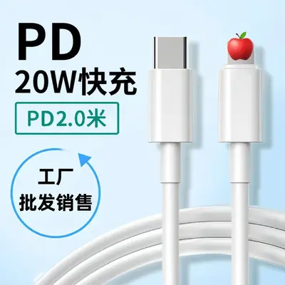 18W PD Fast Charging Head and Fast Charging Cable, Lightning Compatible - 10