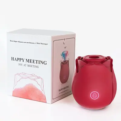 Rose Vibrator with Vibrating Egg and Clitoral Suction Massager - 7