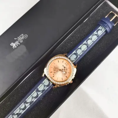 TikTok trendi tedarik deri kayışlı saat kuvars saat kadın saati kadın kuvars saati toptan