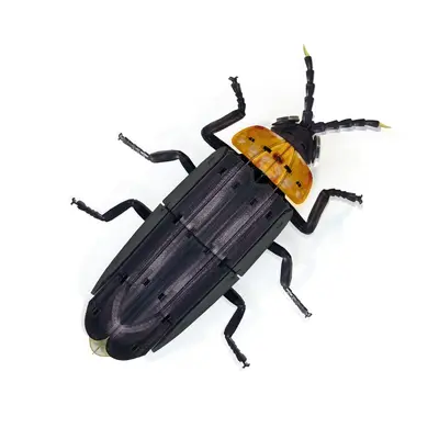 Acrylic 3D Insect Puzzle Model with Building Blocks - 9