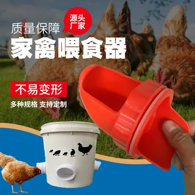 Gravity poultry feeder and automatic water container for chickens and ducks