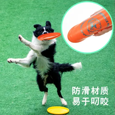 Pet Training Frisbee, Bite-Resistant Floating Dog Toy