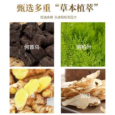 Herbal Shampoo, Silicone-Free, Traditionally Slow-Boiled - 4