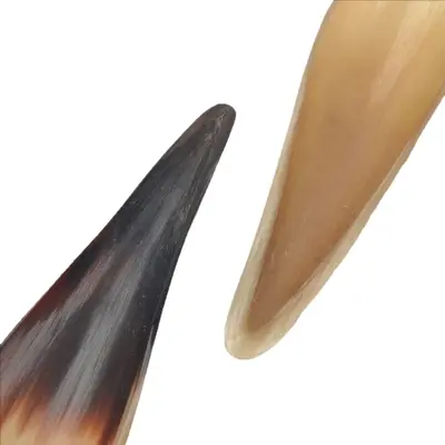 Hornkratzbrett, gelbliches Horn, einseitig strukturiert, verschiedene Farben, verschiedene Längen, echtes Horn, zehn bis achtzehn cm, Einheitswaren