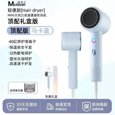 High-Power Negative Ion Hair Dryer with Hot and Cold Settings, Quiet