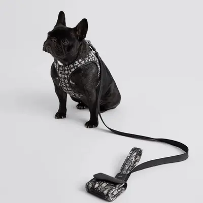 Dog Chest Harness Vest Style with Floral Pattern and Poop Bag Dispenser