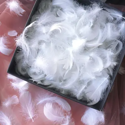 Macaron Colorful Small Feather Small Floating Goose Feather Wedding Festival Event Stage Decoration Gift Box Filling Material Wholesale