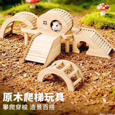 Hamster-Landschaftsdekor mit Leiter, Bogenbrücke und Plattform, Spielzeug gegen Langeweile