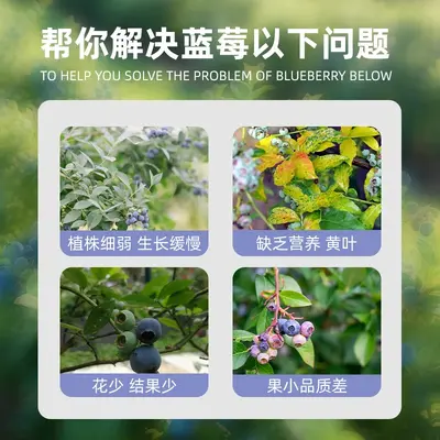 Organic Fertilizer for Blueberries, for Fruits and Vegetables, Long-Lasting