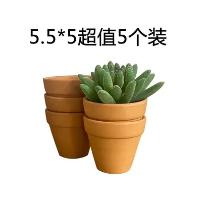 Red Terracotta Pot, Low-Temperature Fired, Breathable Ceramic Succulent Planter - 9