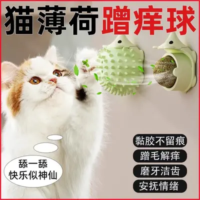 Catnip Ball Chew-Resistant Cat Toy with Teeth Grinding - 4