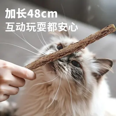 Silvervine Chew Stick 48cm Long Handle, Catnip Cat Teaser Wand Toy - 4