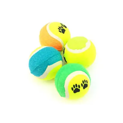 Hundetennisball, nicht elastisch, Wurfspielzeug 6,5 cm