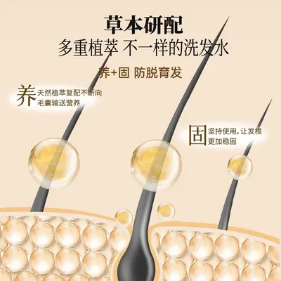 Yaomiaojian Shampoo gegen Haarausfall mit Volumen - 5
