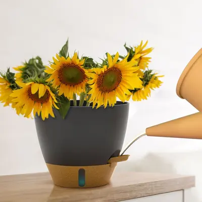Görünür Su Seviyeli Plastik Saksı, Yan Doldurmalı Kendinden Sulamalı