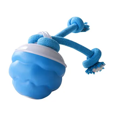 Quietsch-Hundespielball, bissfest - 7