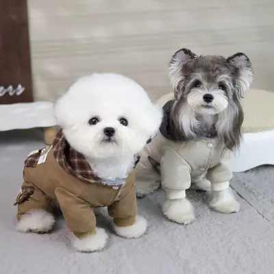 Pet Dog Four-Legged Cotton Coat, Autumn Winter