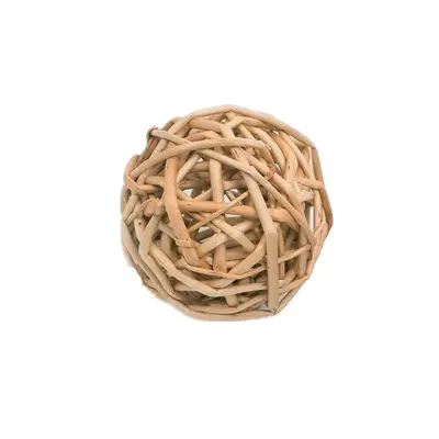 Dried Apple Branch Chew Sticks for Rabbits and Hamsters - 11