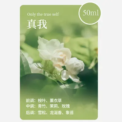 Smart Aroma Diffuser, Waterless Spray, Rechargeable, V01 - 12