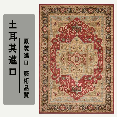 Turkish Style Non-Slip Bedroom Rug, Stain-Resistant, Thick Ethnic Pattern - 11