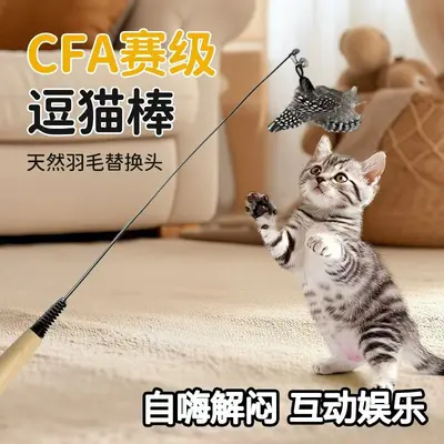 CFA wooden-handle cat teaser wand replacement head feather cat toy solid wood pole steel wire chew-resistant cat self-play pet supplies