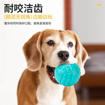 Squeaky Elastic Dog Ball, Chew-Resistant Toy for Small and Medium Dogs - 2
