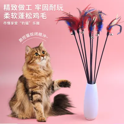 Interaktive Katzenangel mit bunten Federn und Glöckchen