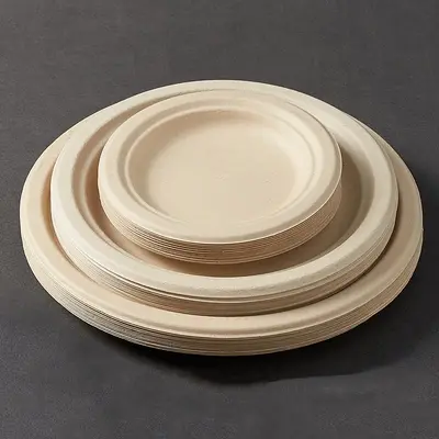 Disposable Eco-Friendly Paper Plates, Square and Oval, Picnic and BBQ - 2