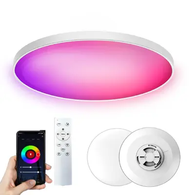 Tuya WiFi Bluetooth Akıllı Tavan Lambası RGBCW, Alexa Uyumlu