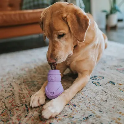 Hundespielzeug im KONG-Stil aus Gummi, bissfest, für Welpen, Schneemann-Design