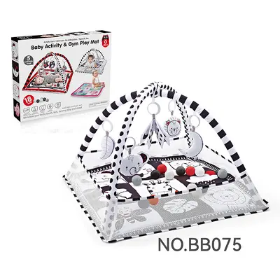 Baby Ball Pit Fence with Activity Rack and Crawling Play Mat