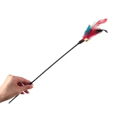 Long Pole Feather Cat Teaser Wand, Durable, Colorful Feathers - 6